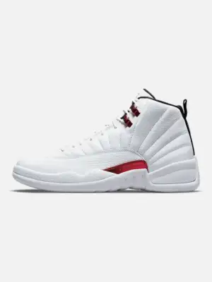 Air Jordan 12