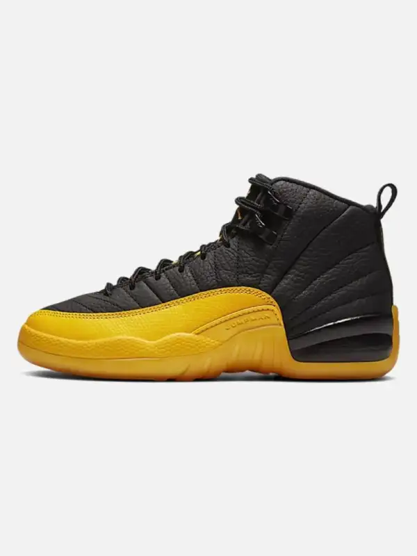 Air Jordan 12