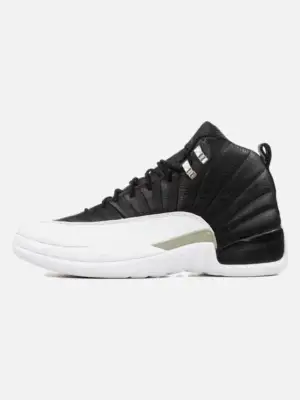Air Jordan 12