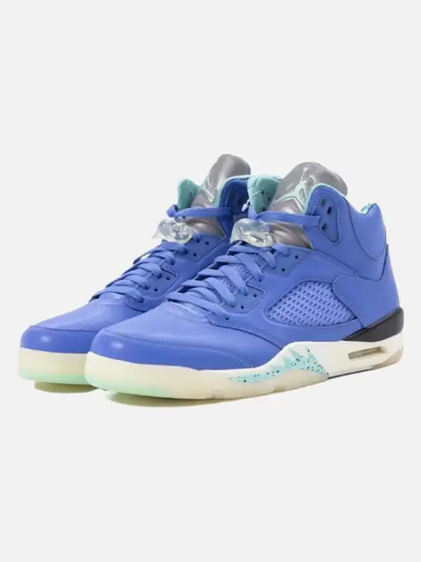 Air Jordan 5