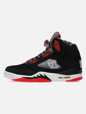 Air Jordan 5