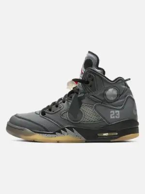 Air Jordan 5