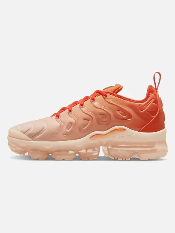 Air Vapormax TN